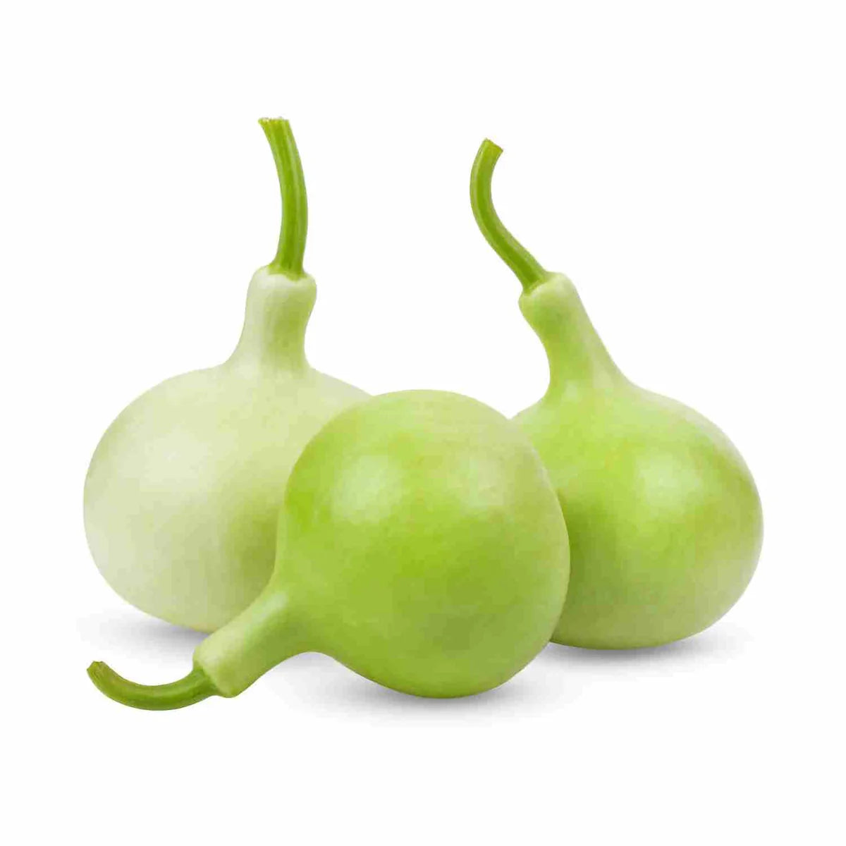 Fresh Round Kaddu ( Round Lauki)