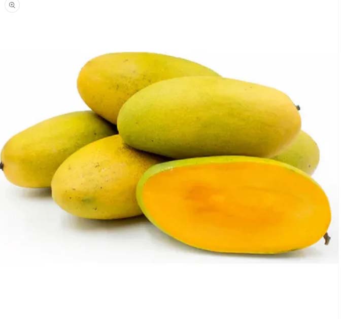Indian Dasheri Mango 1.5 kg Box