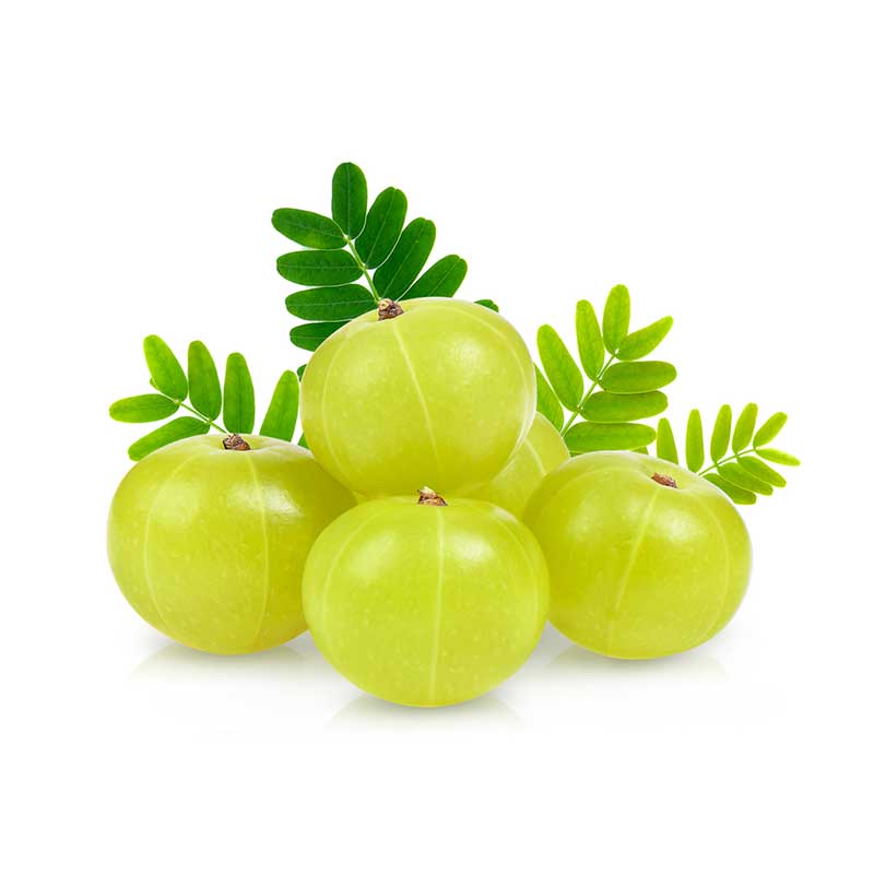 Fresh Amla