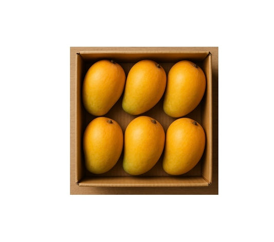 Fresh Alphonso Mango BOX  (5-6 Pcs) 1300g-1500g