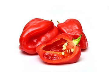 Hot Red Chilli Habanero