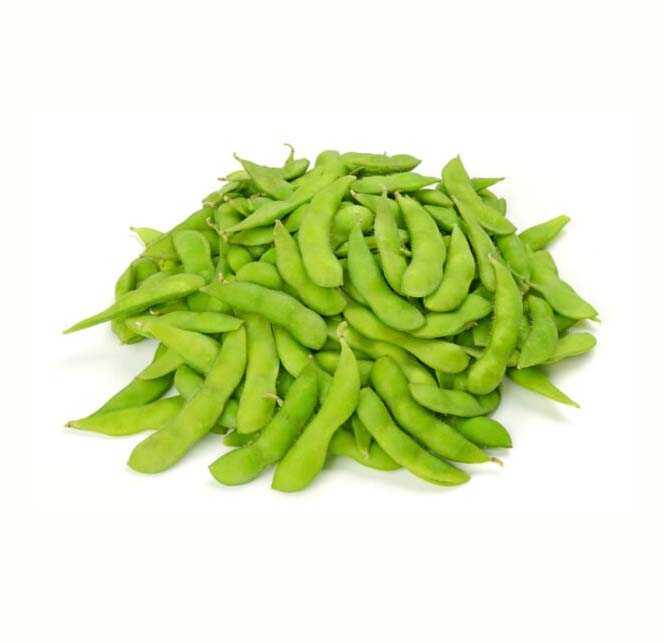New Products