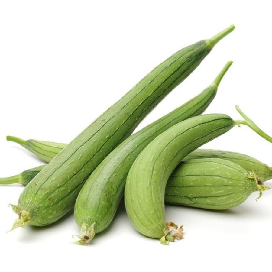 Indian turai (Sponge Gourd)