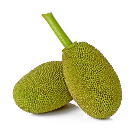 Young raw Jackfruit 1 Pc (700g-800g)