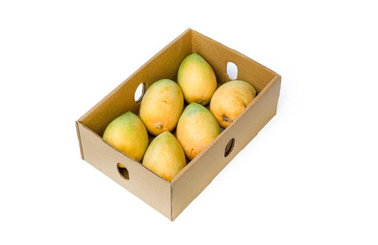 Fresh Kesar  Mango BOX  (5-6 Pcs) 1300g-1500g