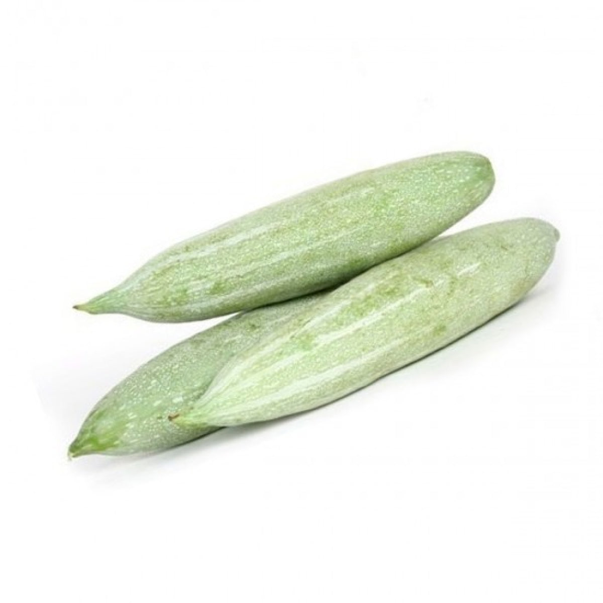 Fresh Snake Gourd