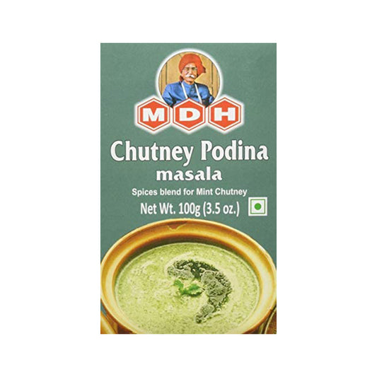 MDH Chutney Podina Masala 100g